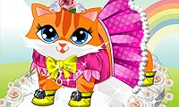 Habillage du mignon petit chaton gratuit sur Jeu.org