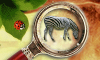 Zoo Break Out gratuit sur Jeu.org