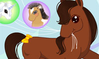 Poney du jour gratuit sur Jeu.org