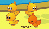 Duck Pond Puzzle gratuit sur Jeu.org