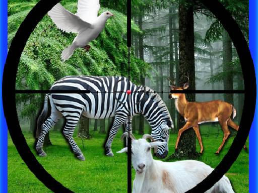 Chasse aux vrais animaux de la jungle gratuit sur Jeu.org